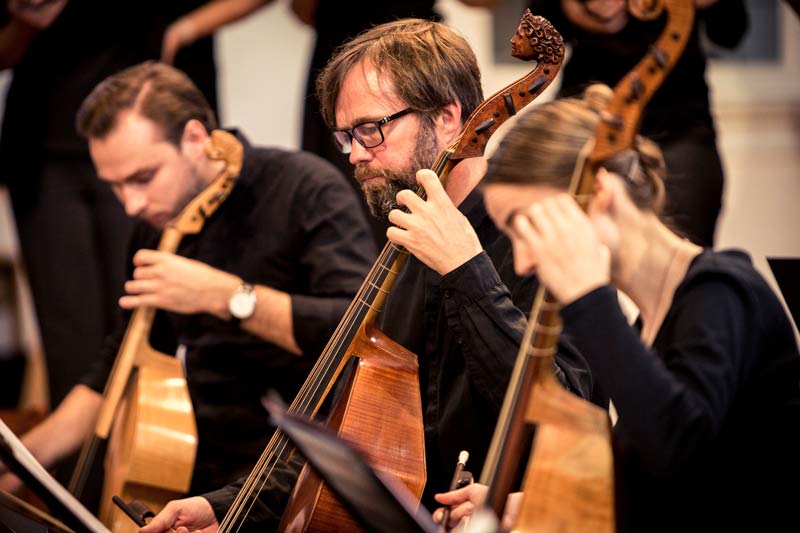 ensemble_hofmusik_musik_herderkirche